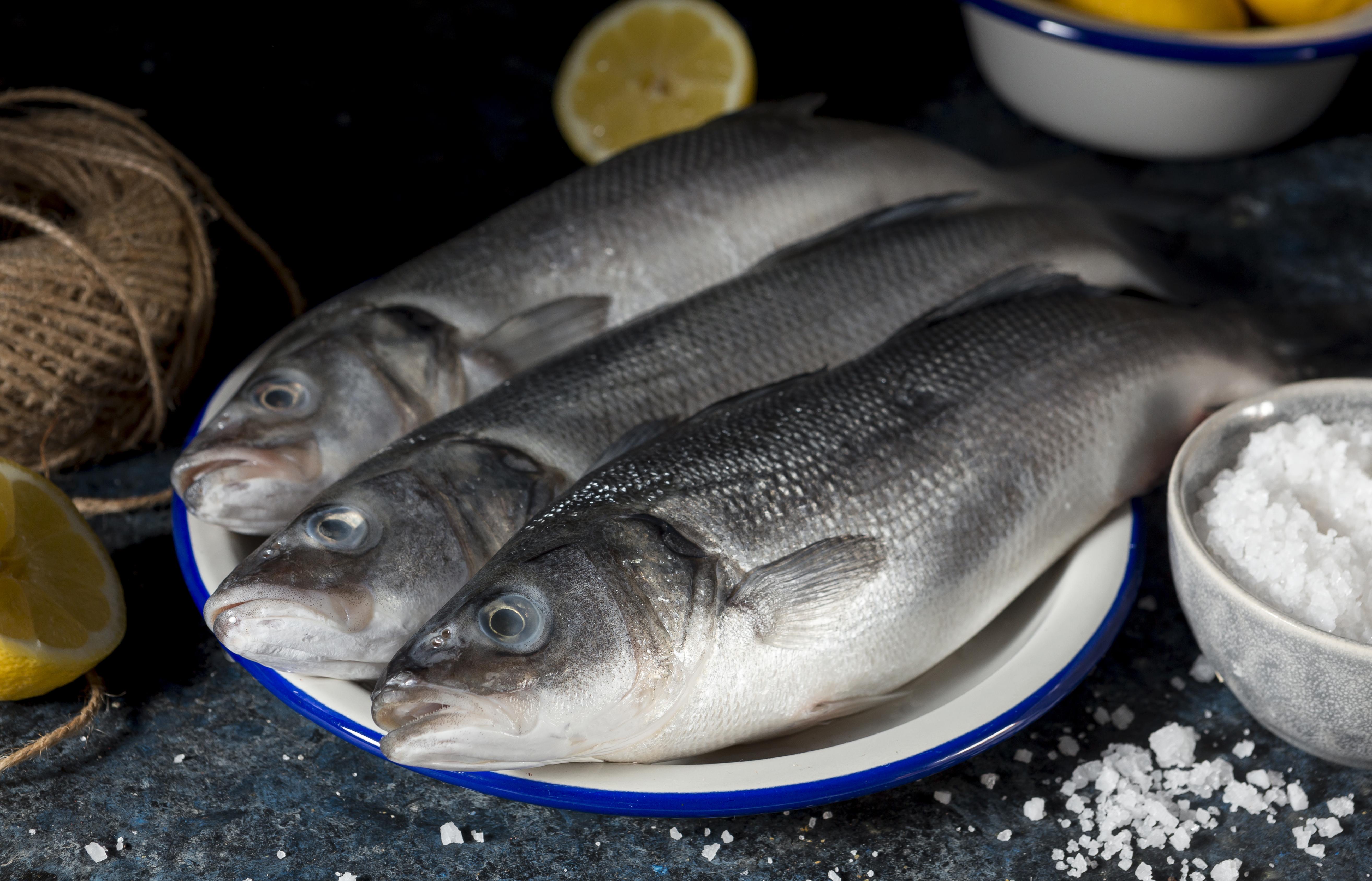 Swai Basa Fillets